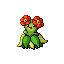 Bellossom