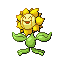 Sunflora