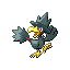 Murkrow